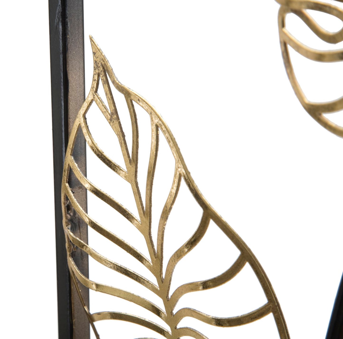 b50043c2018e78bb43a9dc666f66404d