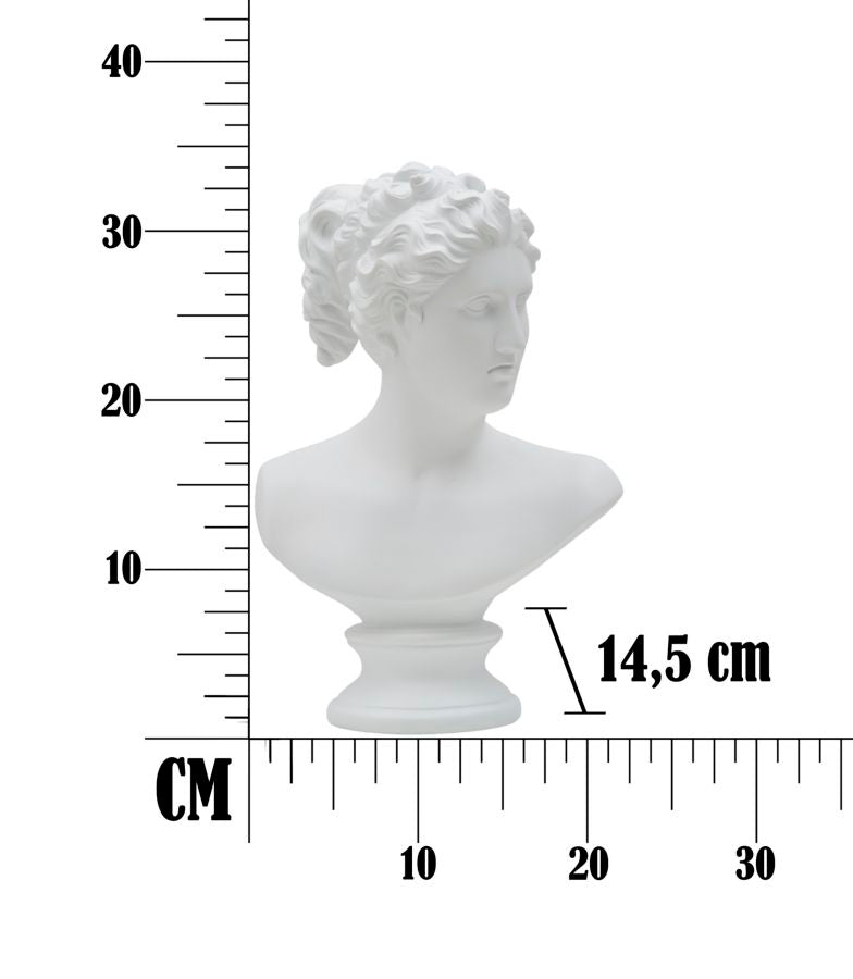 Dekoracija ZORA 34x21,5x14,5 cm