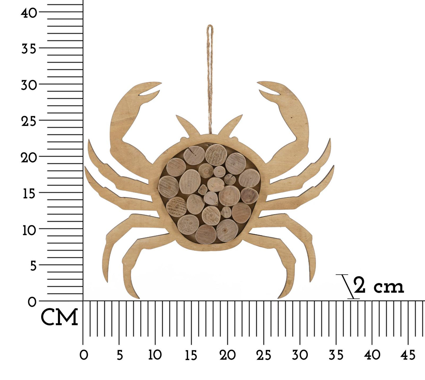 Zidna dekoracija CRAB 35X2X31 cm