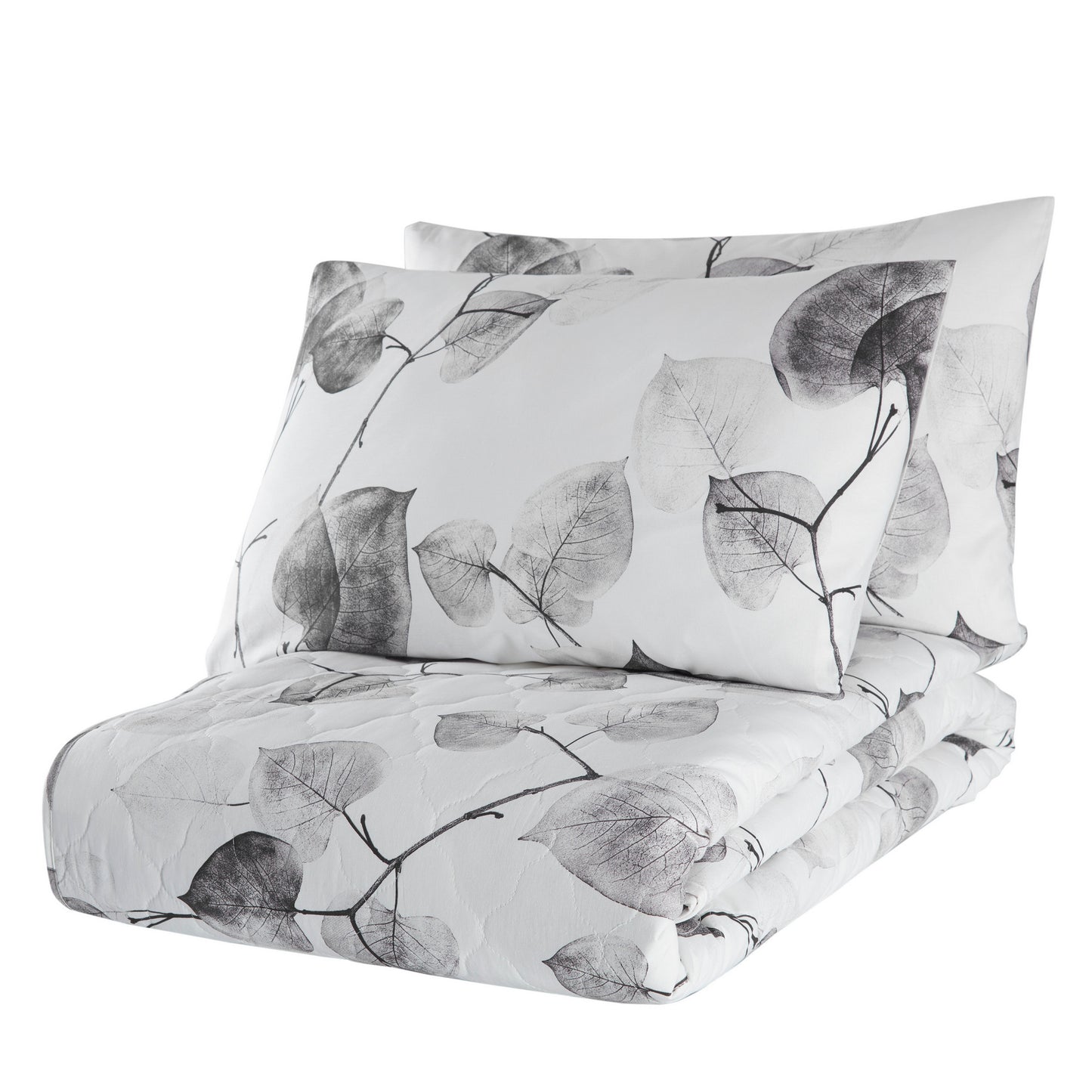 735515fec85e95f663eec90056d3b095