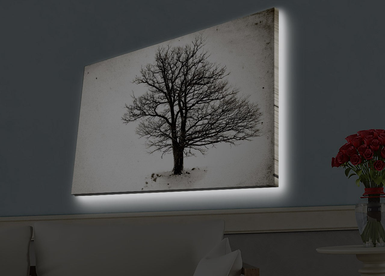 Slika dekorativna platno sa LED rasvjetom, 4570HDACT-056