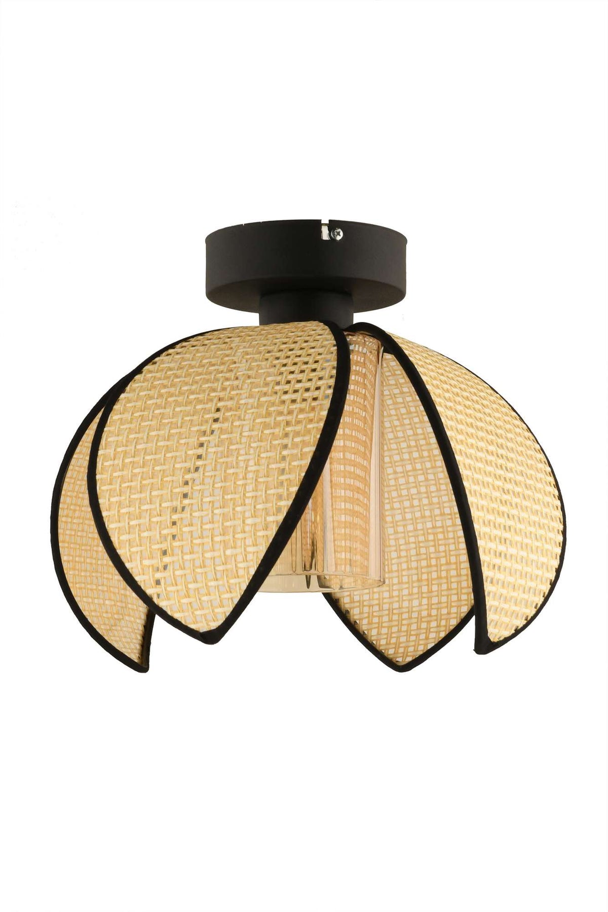 Luster 701, Krem, Crna