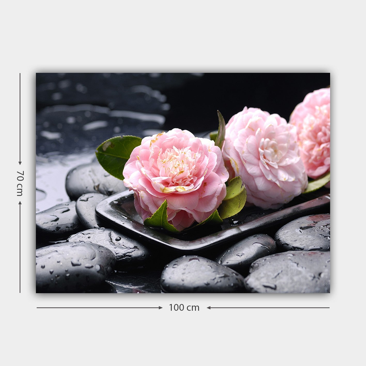Slika ukrasna platno, 49585564_70100
