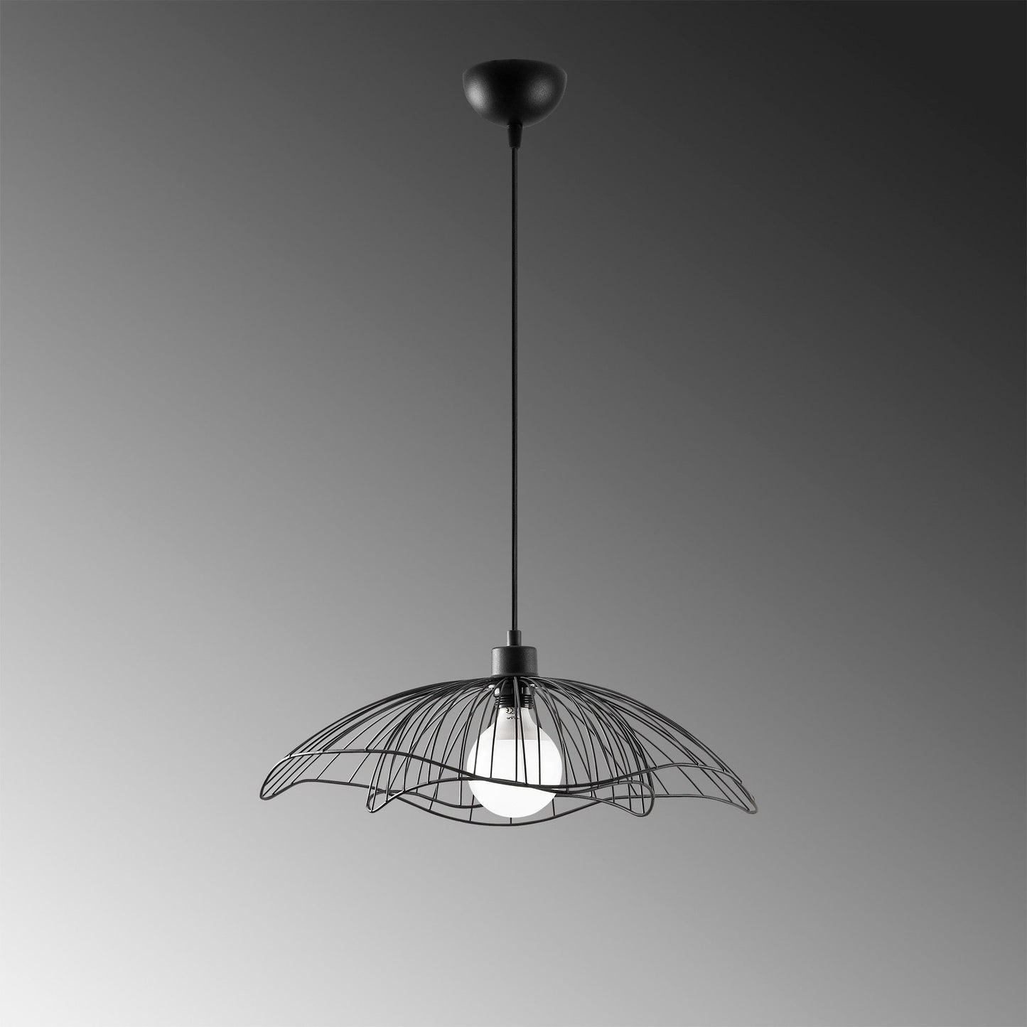 Luster, 584TTM1466