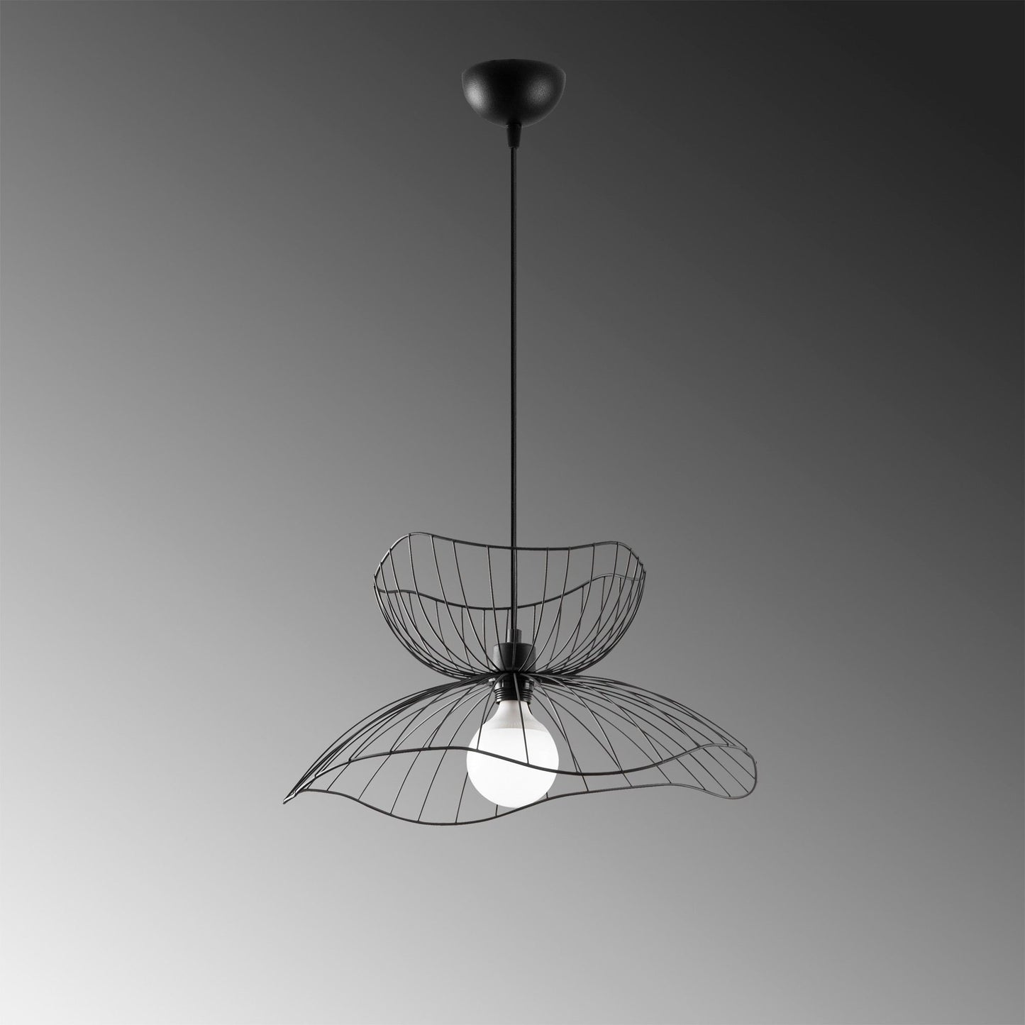Luster, 584TTM1468