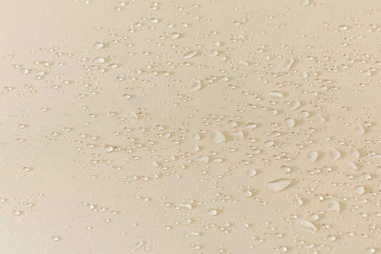 9b87b77831d6c3064565b92a518a9753