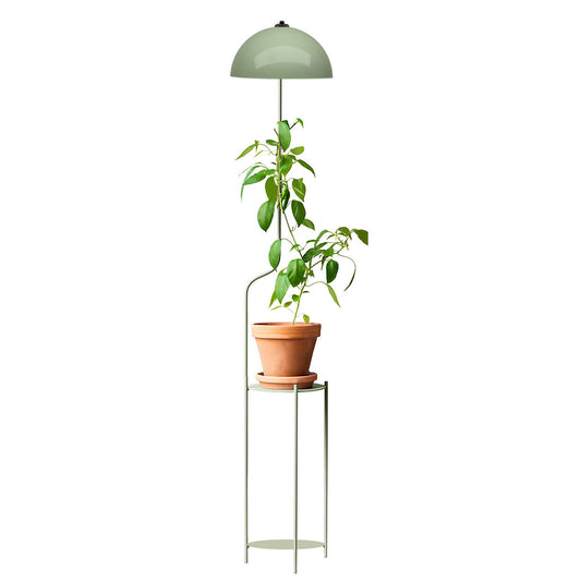 Podna lampa 241312