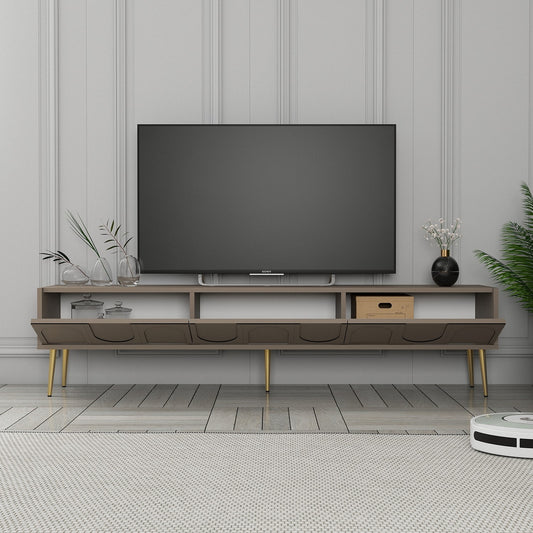 TV jedinica SALMA