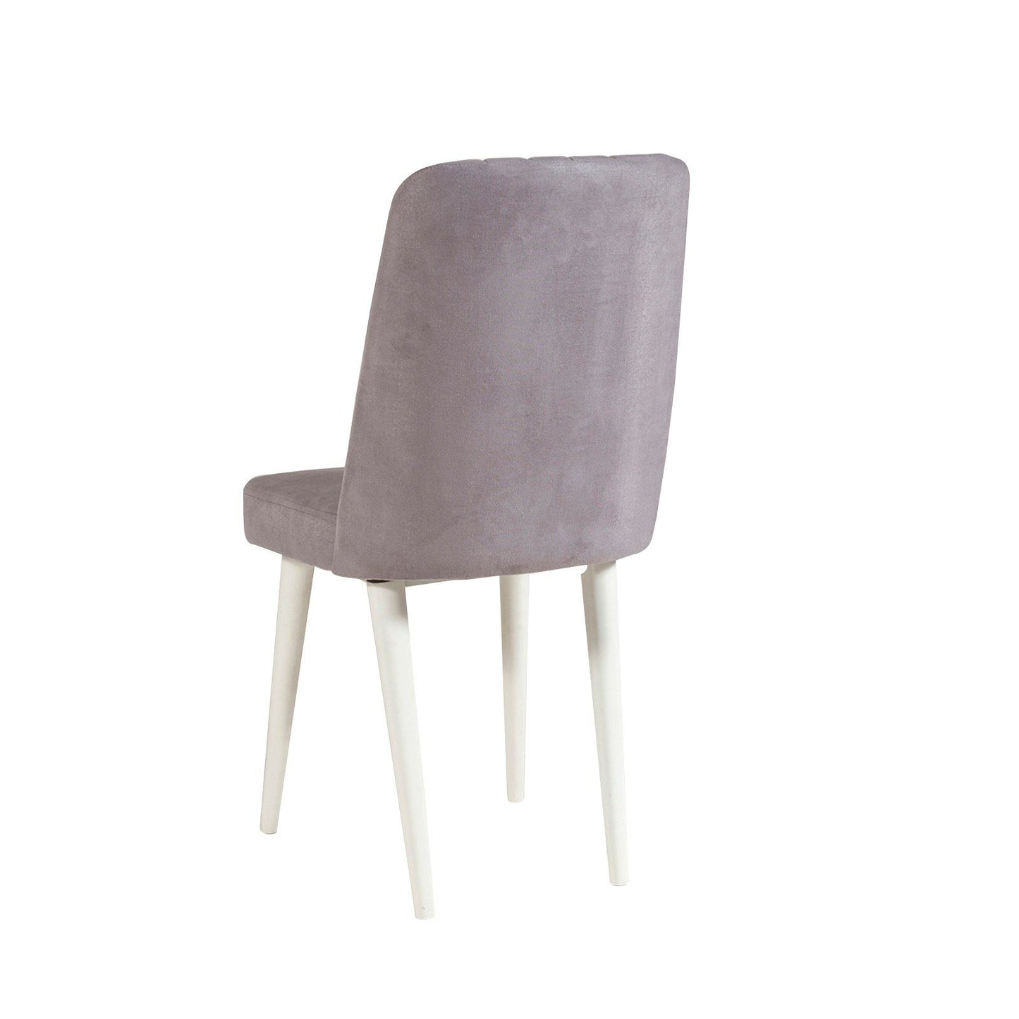 Set stola i stolica (5 komada), Vina 0701 - 4 - White, Grey