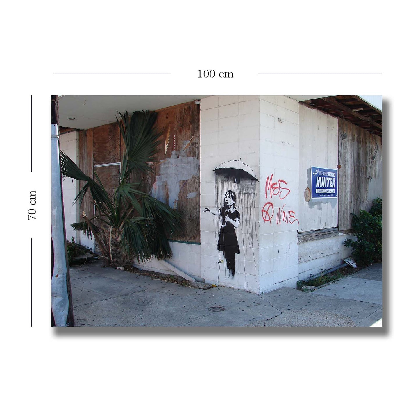 Ukrasna slika na platnu 70100BANKSY009