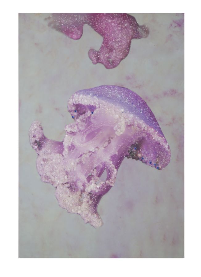 Slika sa aplikacijama meduza -a- cm 80x3,8x120