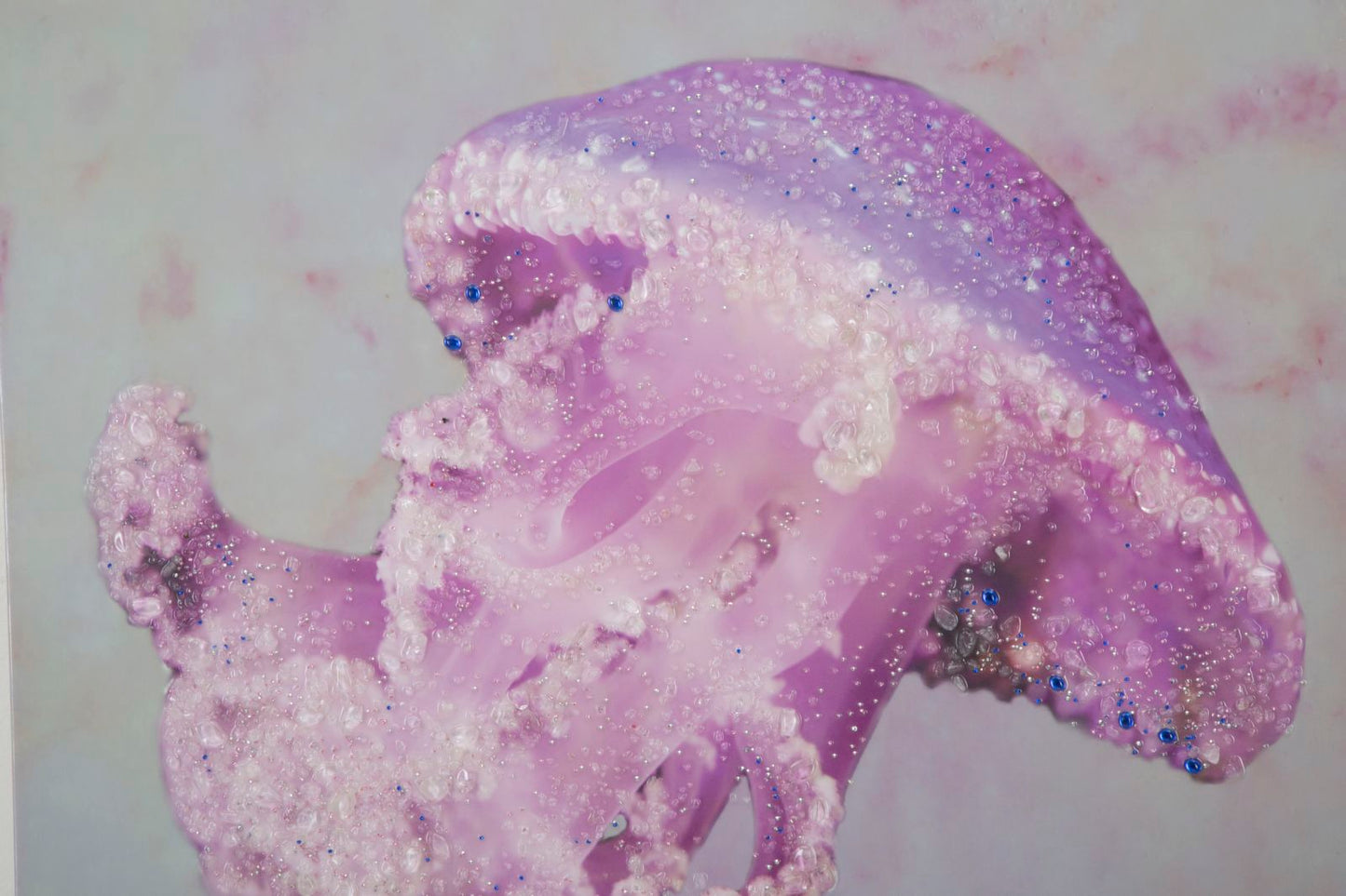 41fe292647b6823226a284ac5b8a9252