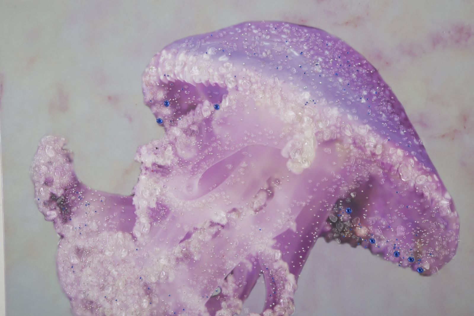 41fe292647b6823226a284ac5b8a9252