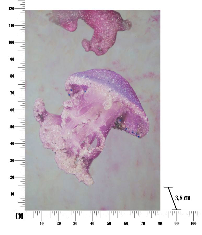 Slika sa aplikacijama meduza -a- cm 80x3,8x120