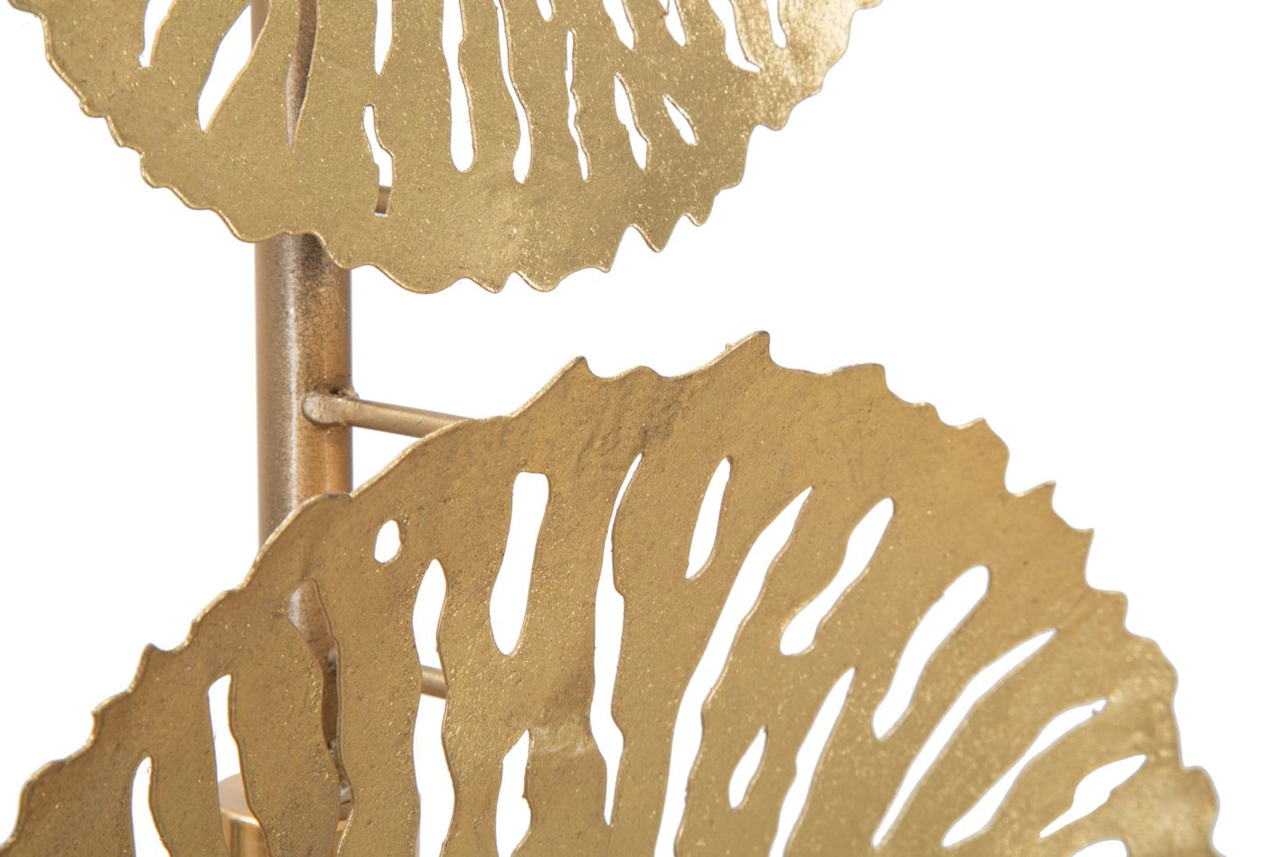 034bfb12e04e732a124cbb0d41df61c9