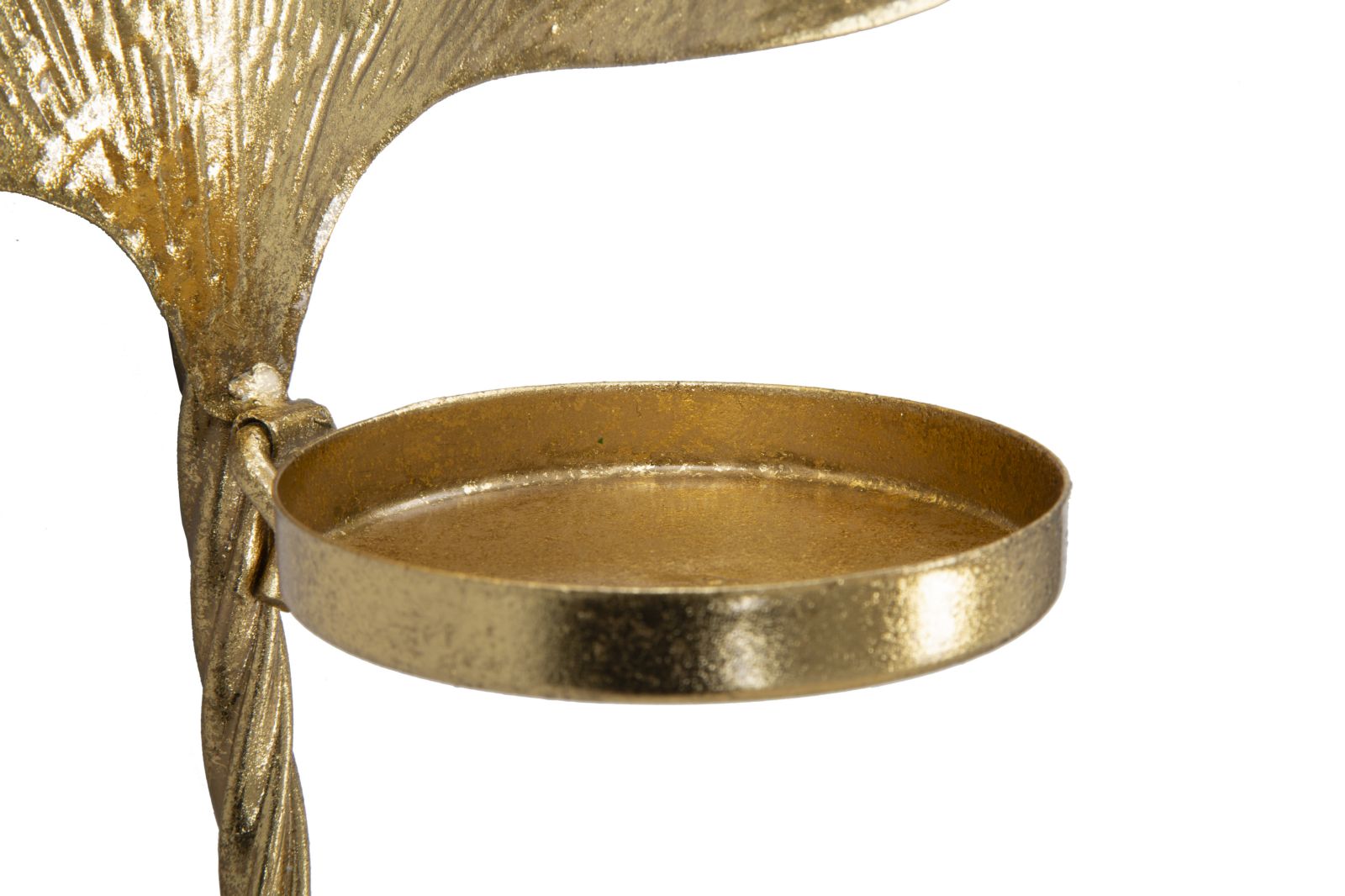 8c36fa6bdae03d9f1170202a1b36a351