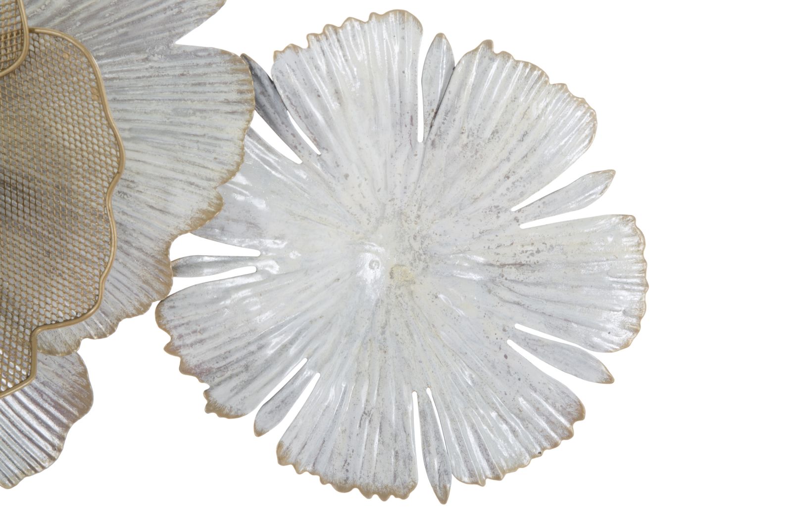 85603c6e13ed15d9ff52fe663de3fea1