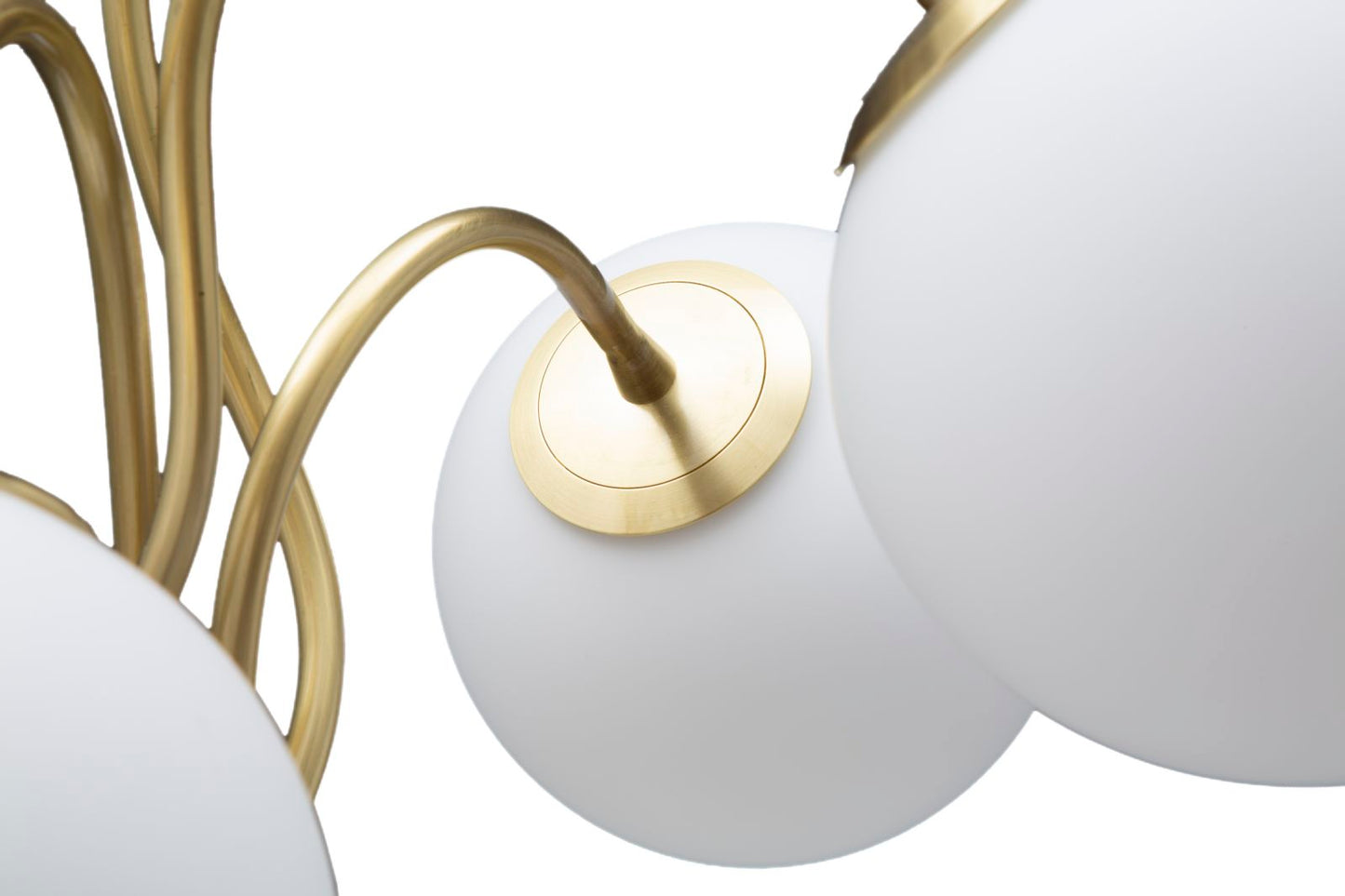 8e1e9ec1a02fc404996e25661c2a133f