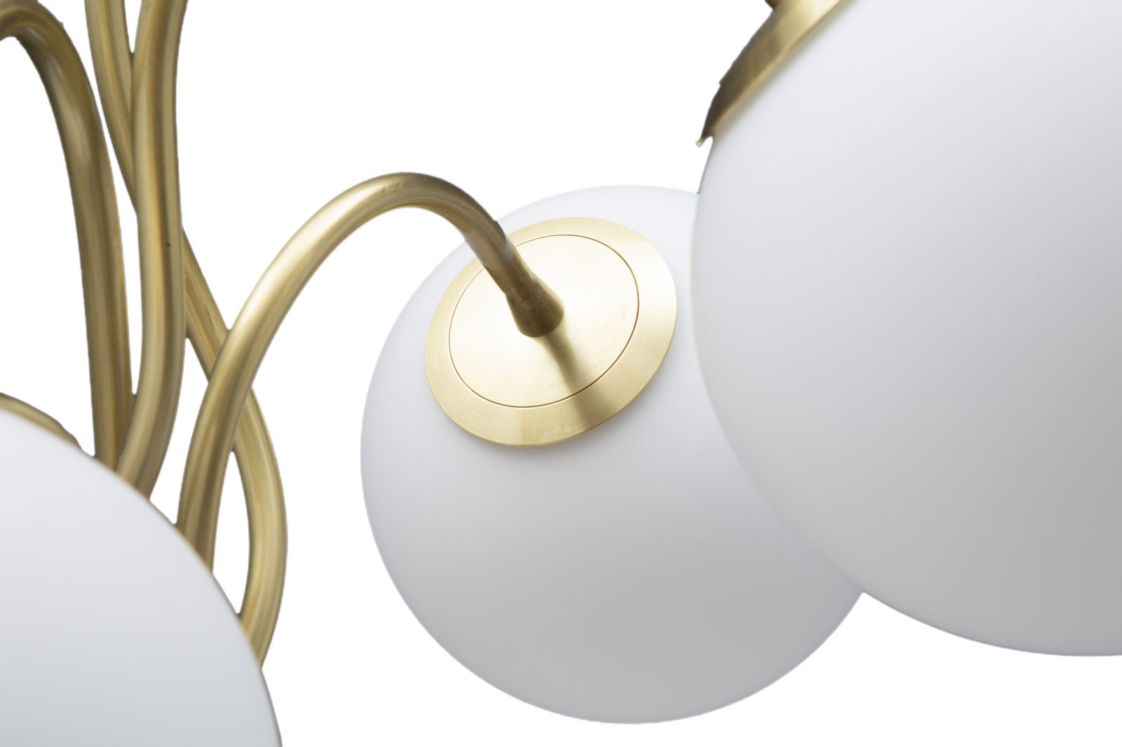 8e1e9ec1a02fc404996e25661c2a133f