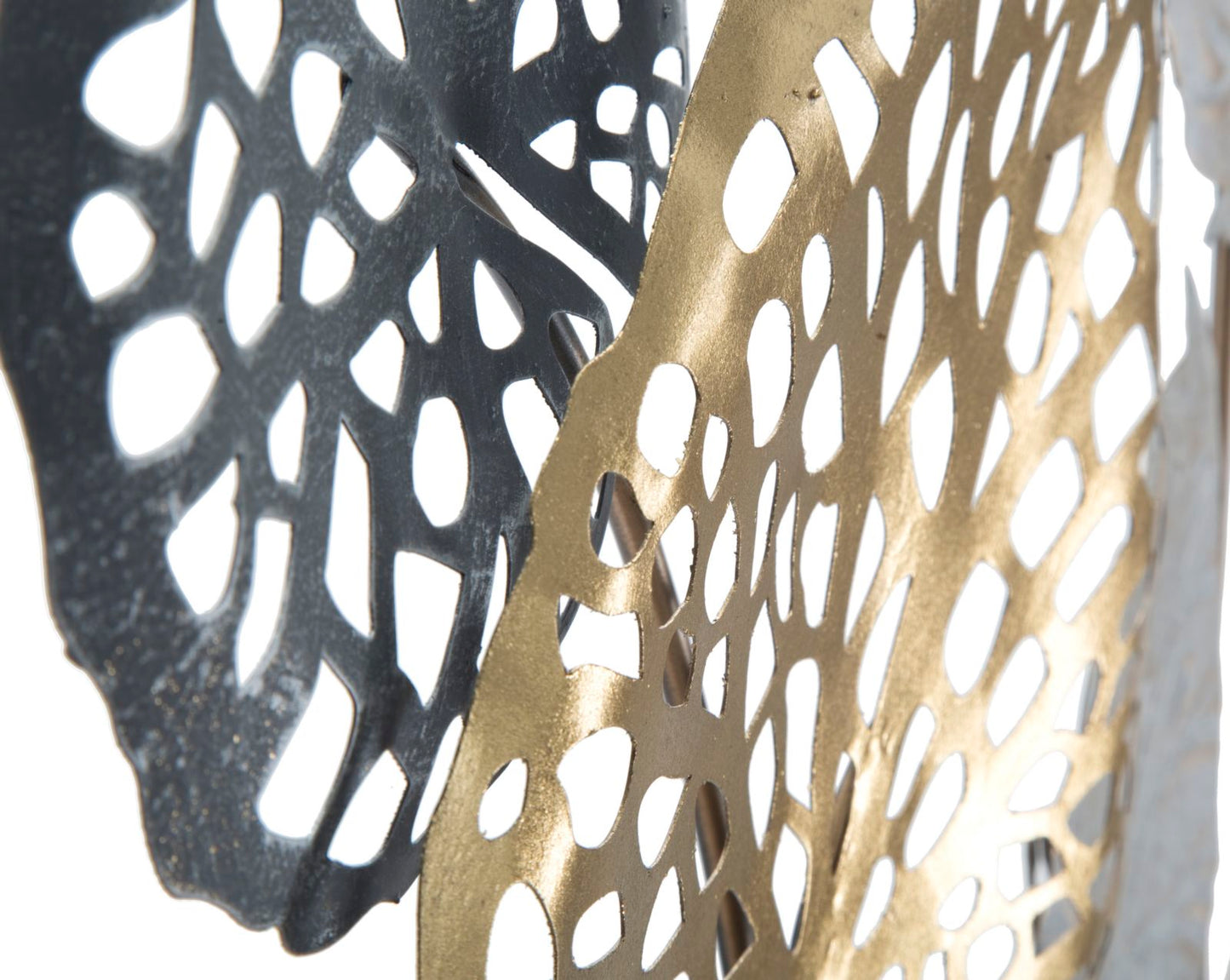 8fd42536a999980393289c311b77e8e9