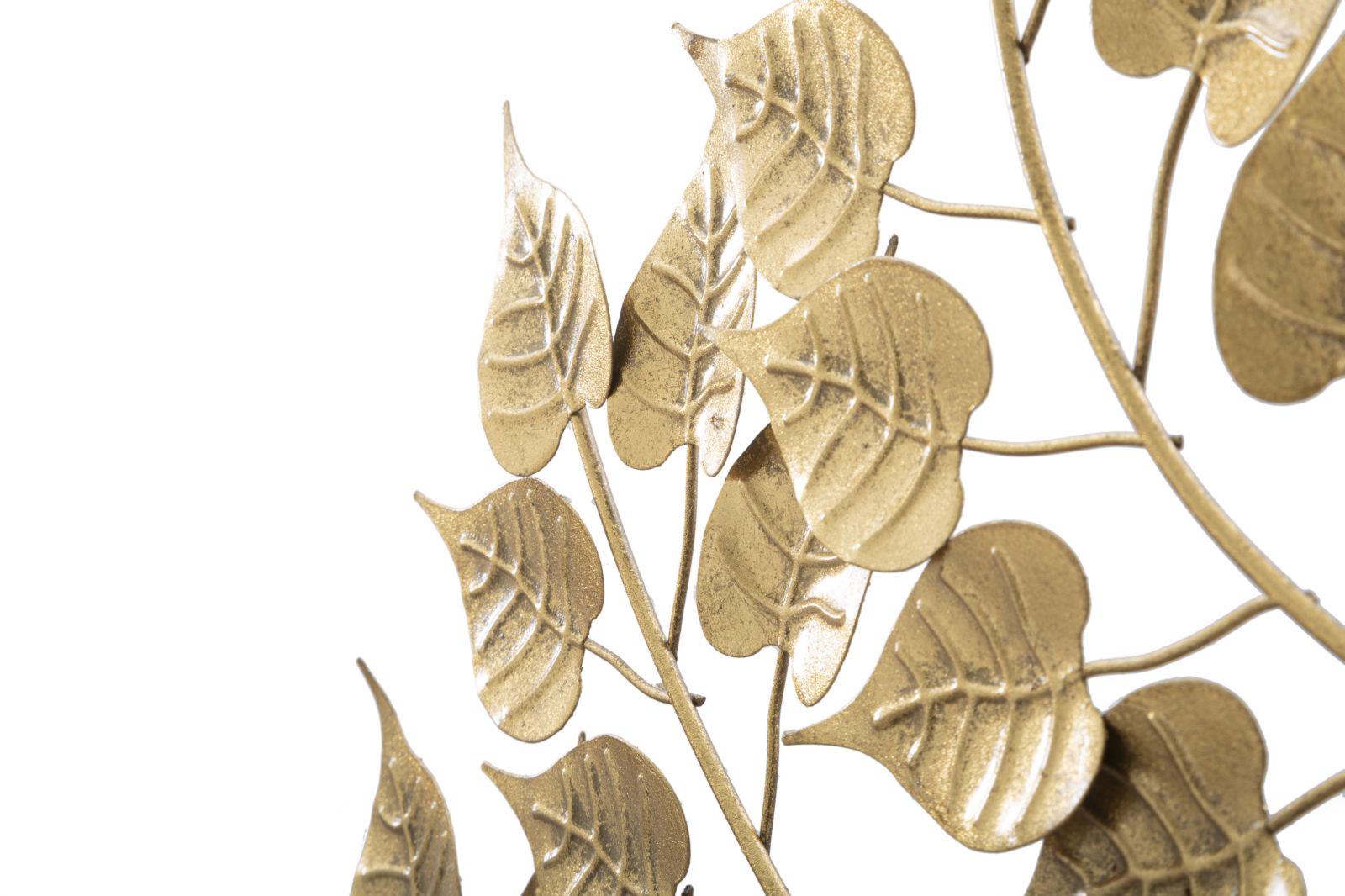 500798c8c3b79ba06ad6df21ad98bf44