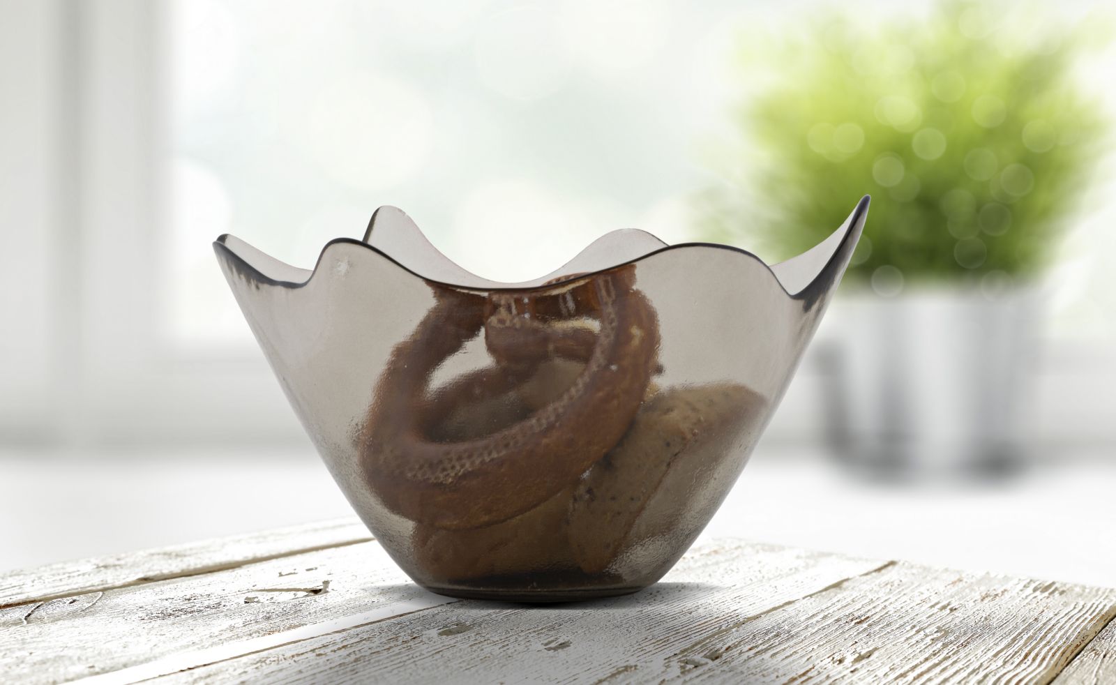 ed043eb217cb70838e6422d130f89160