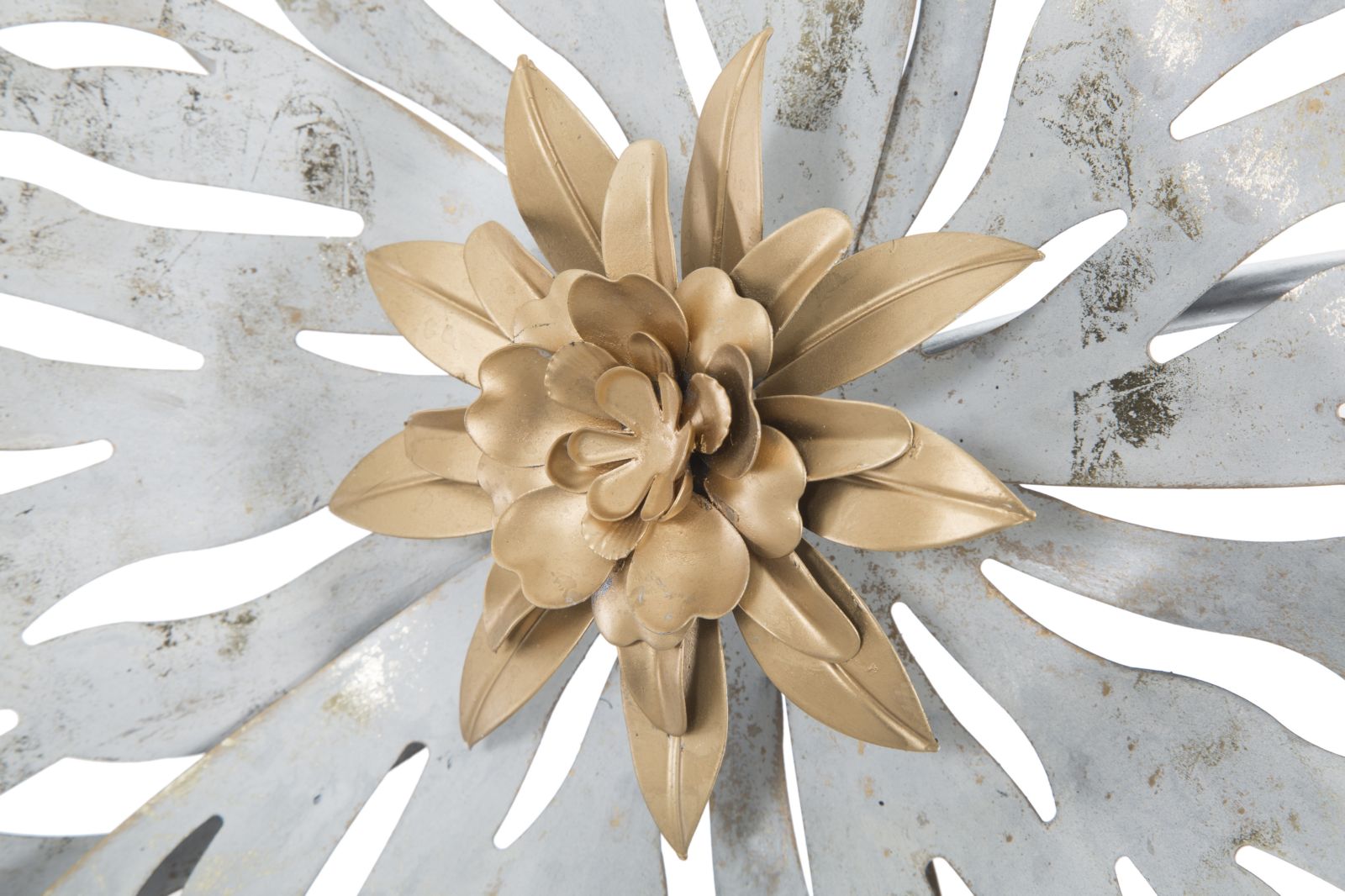 981557b2f479c0b726ea69d8ce5922d7