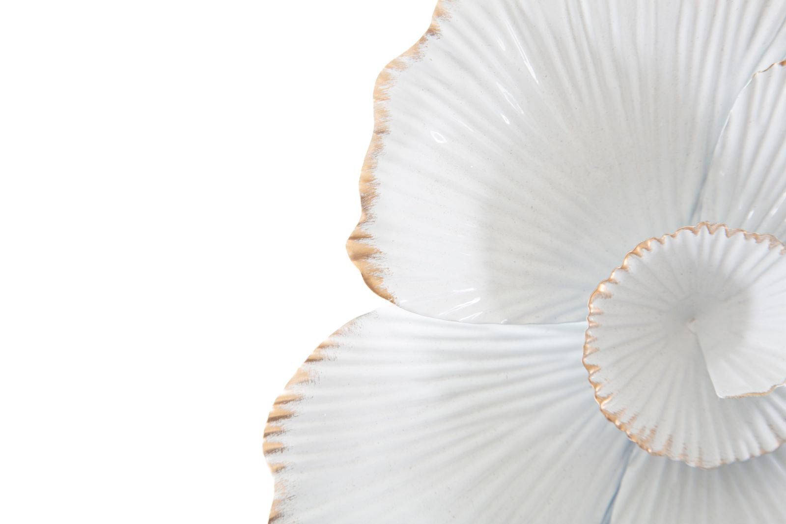 62933f87574e7db68123b39bb740cafd