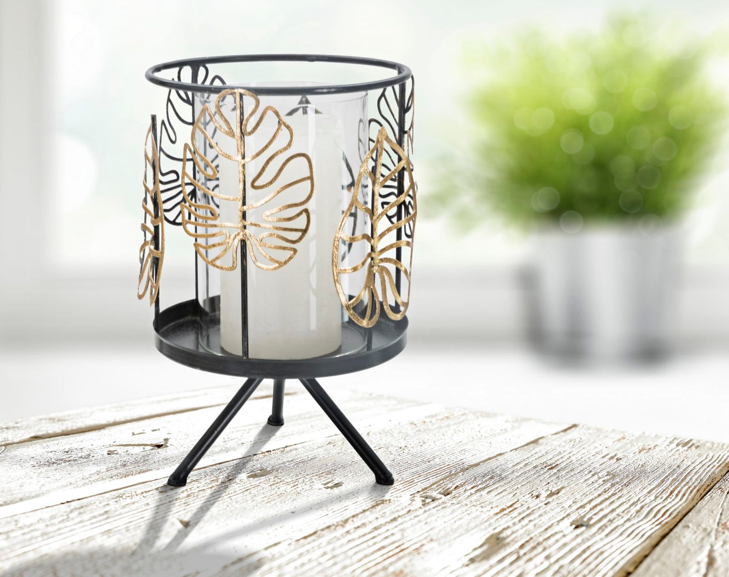 1fed3db93e706059f909168f66e5af78