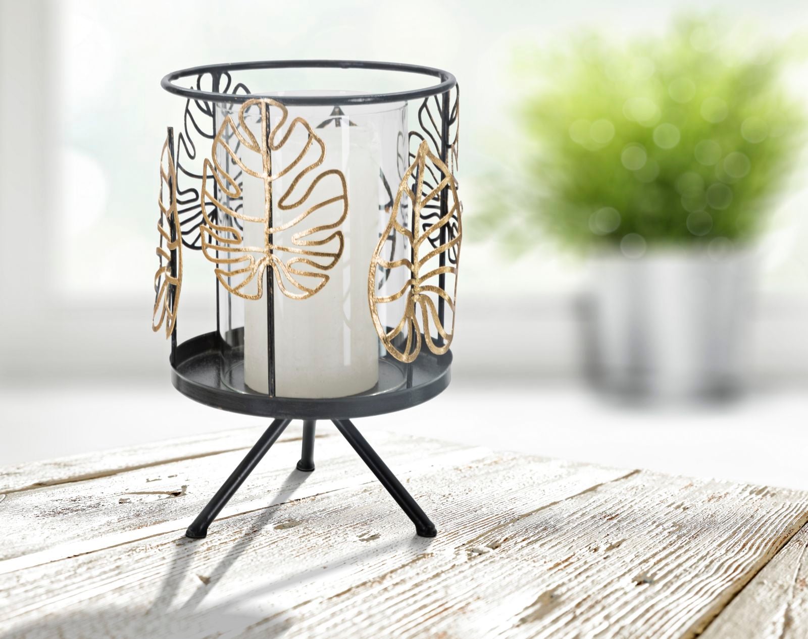 1fed3db93e706059f909168f66e5af78