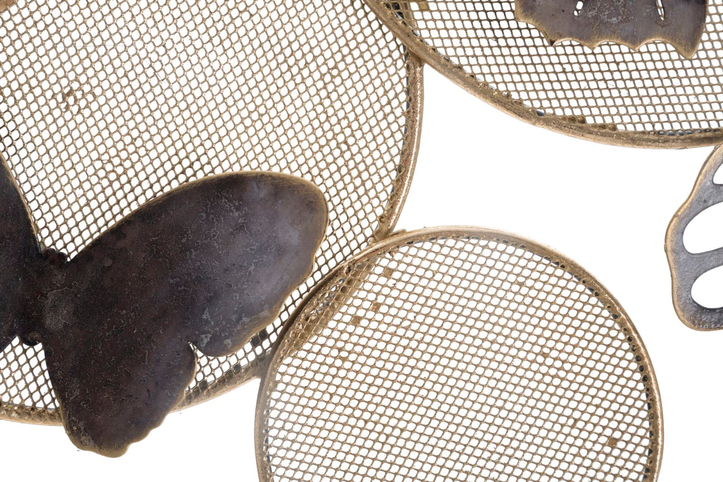 44d4af31b76177c1a92851a79b9f4795