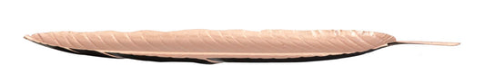 Posuda leaf glam -b- bakar cm 18x2x55