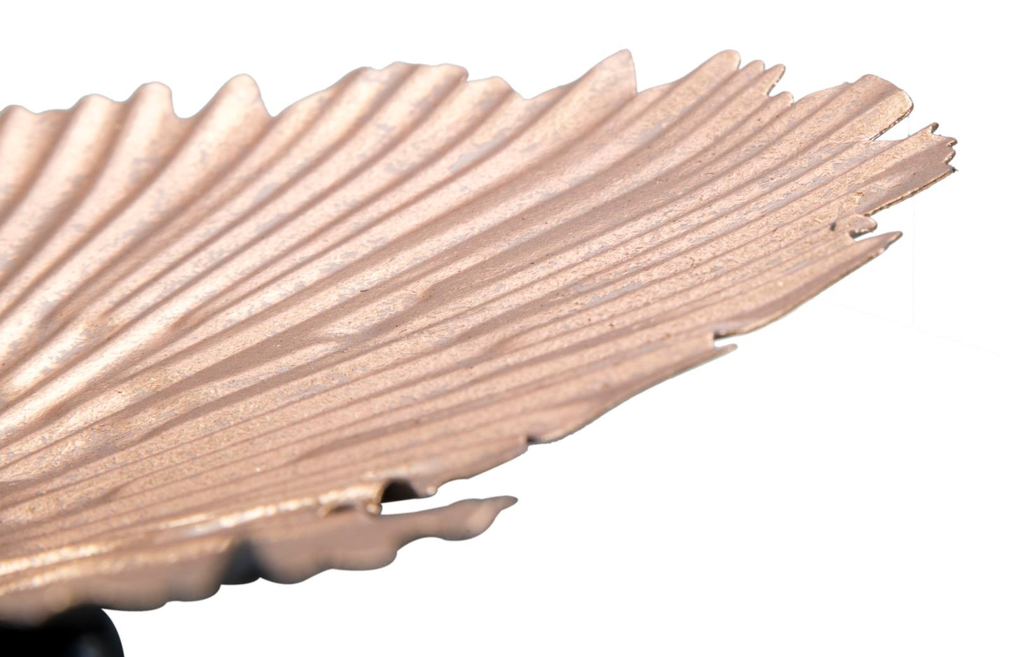 a8c745d3f4755c431a5afbf492469761