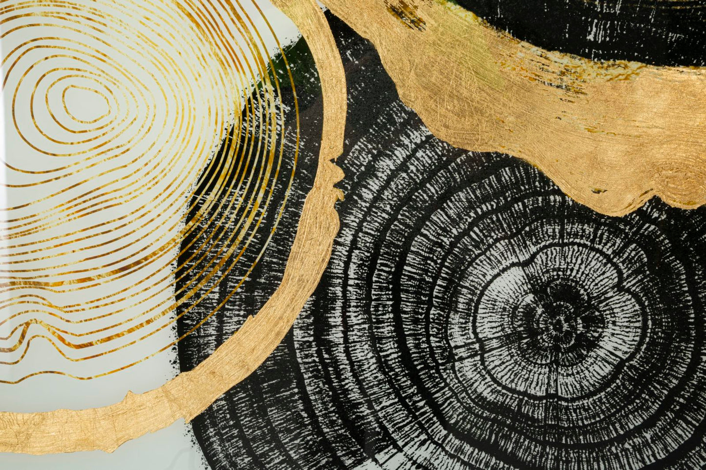 510fb1e2835b6ab6cde3998c8972949a