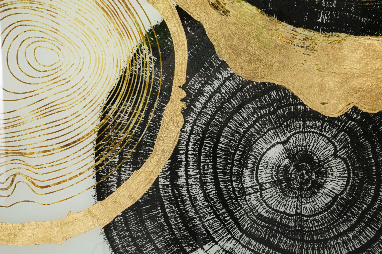 510fb1e2835b6ab6cde3998c8972949a