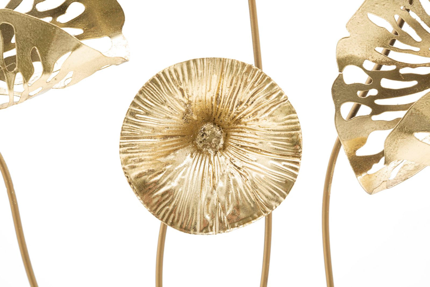 3e51638ff74fd15ca68d72bc9cfa029f