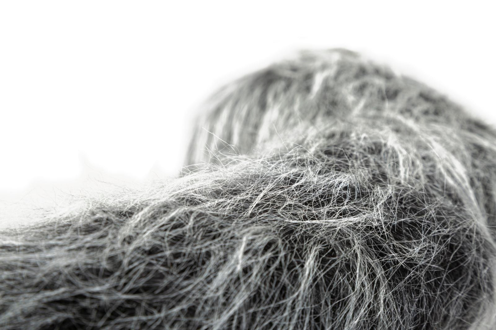 467e747fc16607ee533551f8815c124f