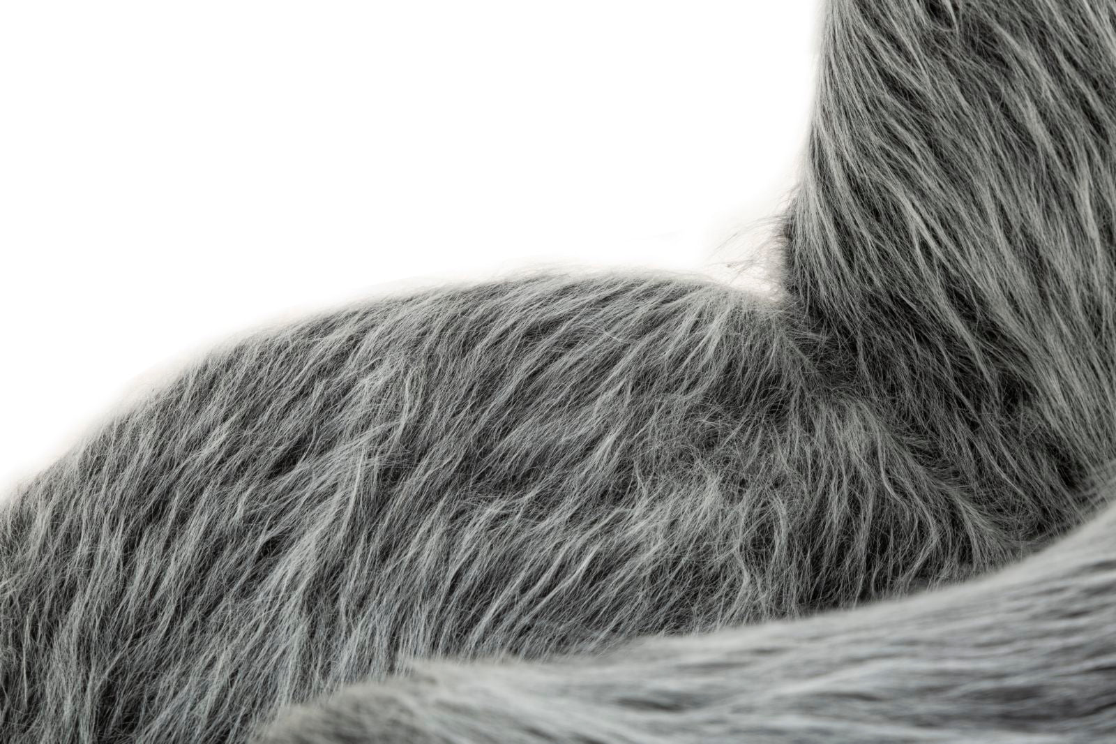 a528dd033ef574299e81b4194833d66e