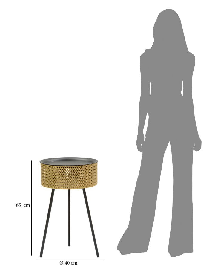 b007a45e369d7f9f3aa6a5d72e31e269