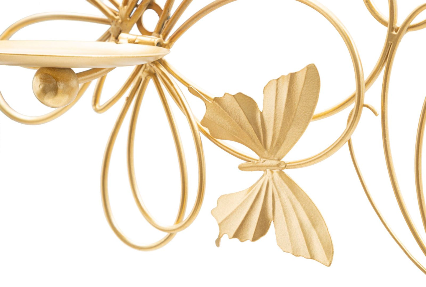 8cb4482542ba9f248a5dfa04a749014a