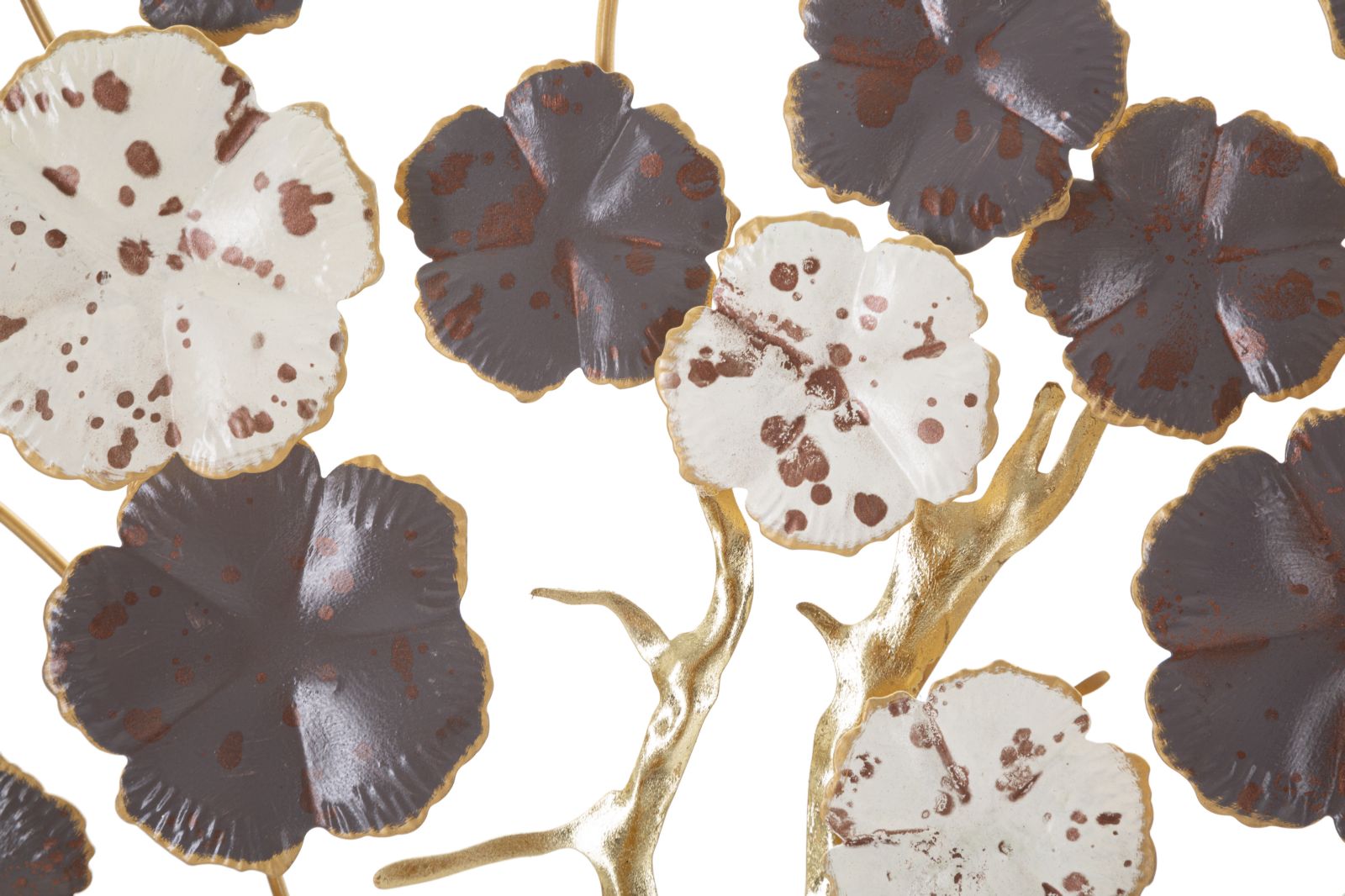 a56c3c01236c4ff4bdf5bbba12896bf7