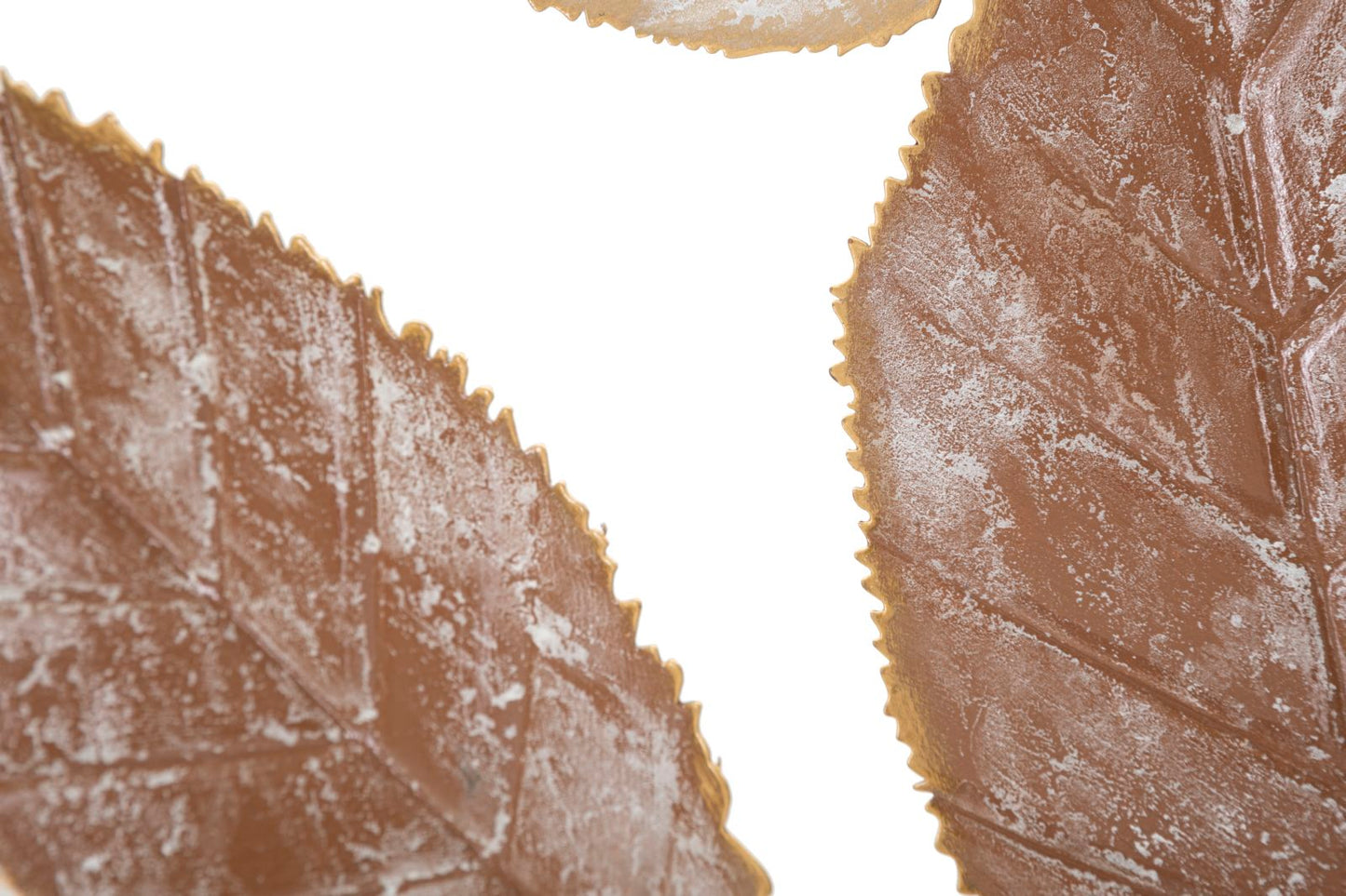 fa6757075c4e2603a04824ab3ac6b849