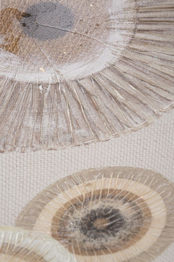 f3e2f457beb56b0a3a44586b4f896330