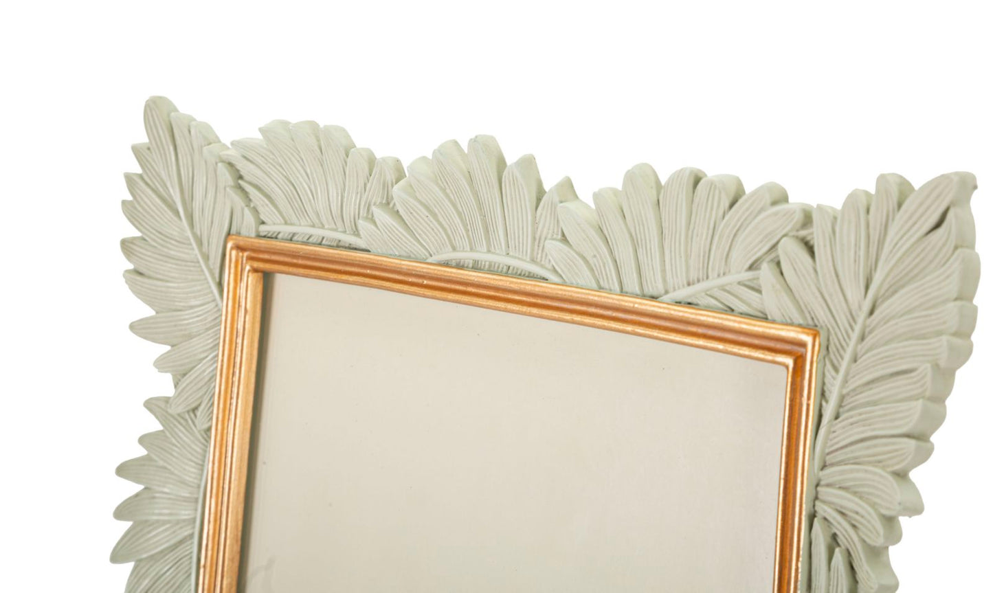 72de2b79d29364d619bc1919b94241ae