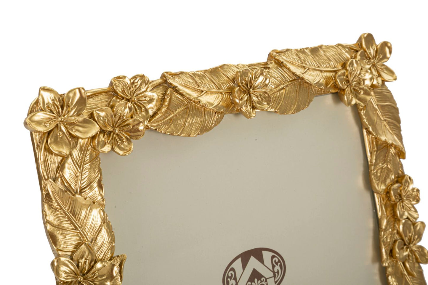 355beb88cdd16572a4842a2cf8818060