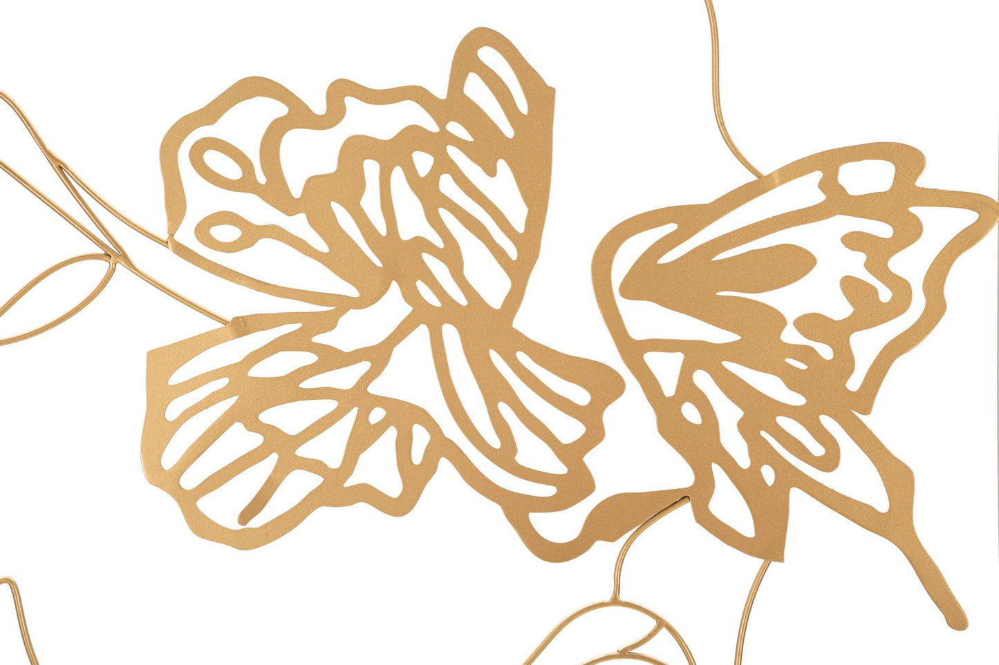 ca901974a567b3a55f318de835fb0acc