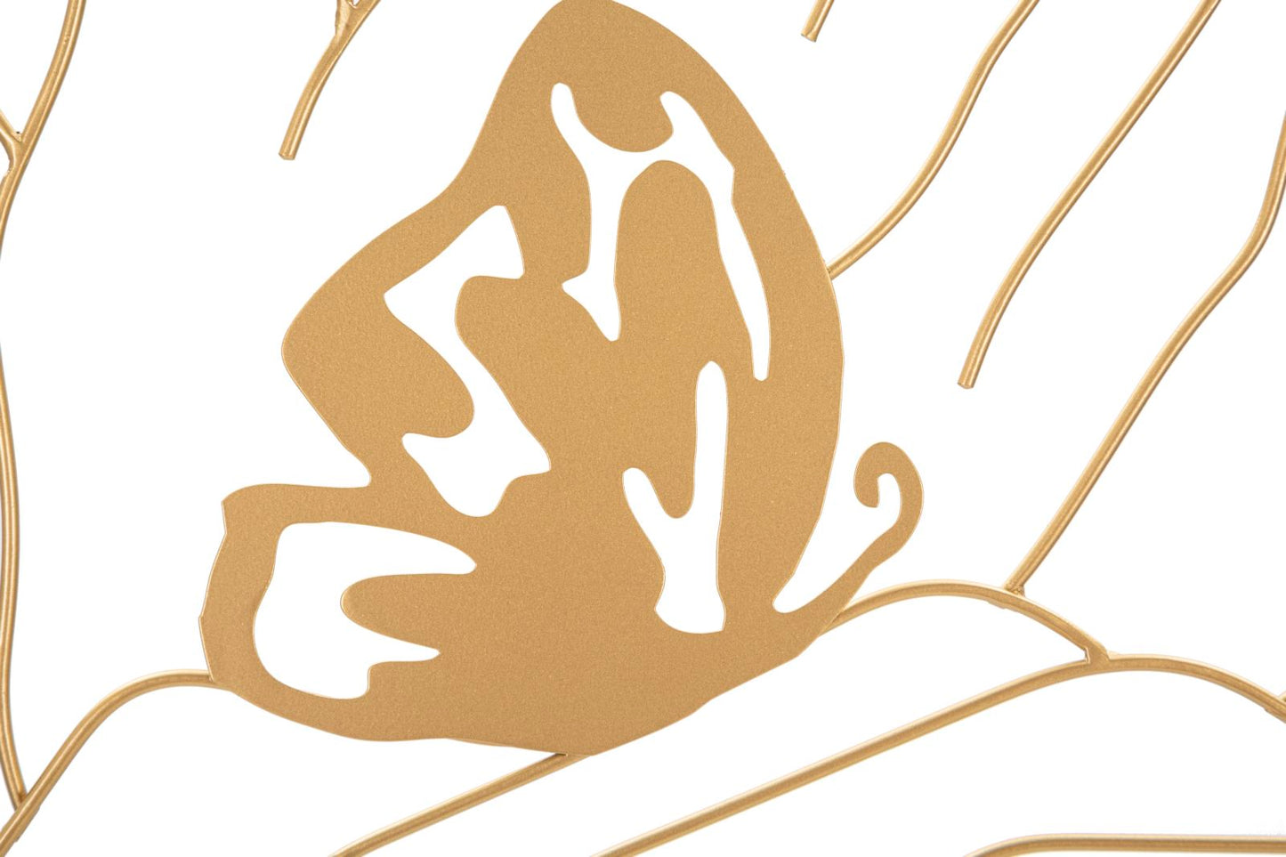 069eb8abaeb0f93fd5a62b25fd06a3e6