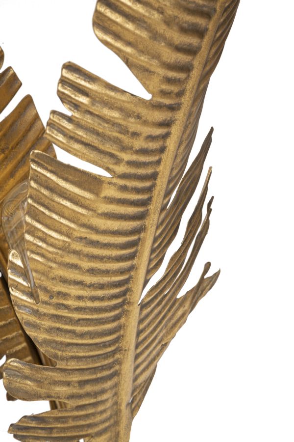 a69c43d609f2392c4872df88b42a51ff