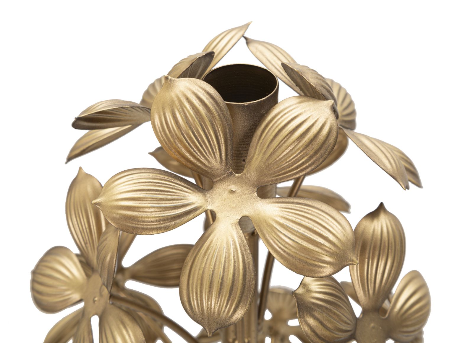 ea1cdc32c6de543a7d98d8735ac2ca29