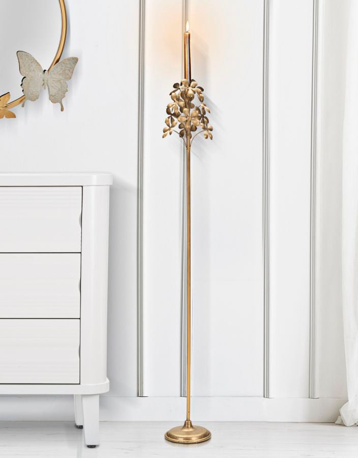 f61ecd1d91b4763daa7edac37464a3bf